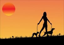 All Natural Pet Products & Remedies